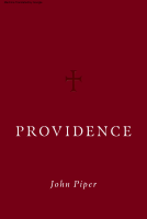 Providencia.pdf